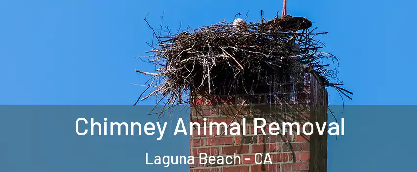 Chimney Animal Removal Laguna Beach - CA