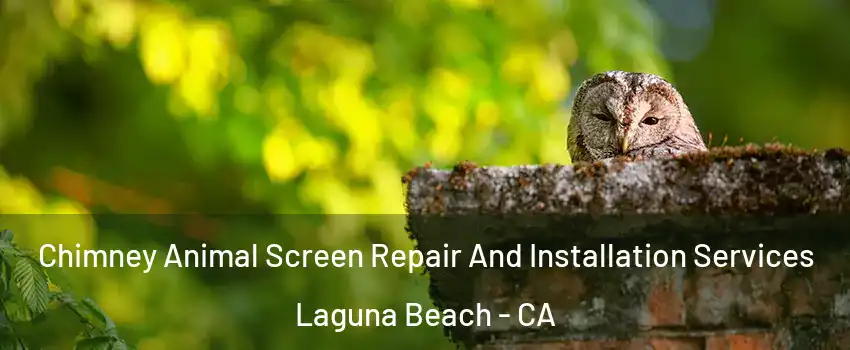  Chimney Animal Screen Repair And Installation Services Laguna Beach - CA