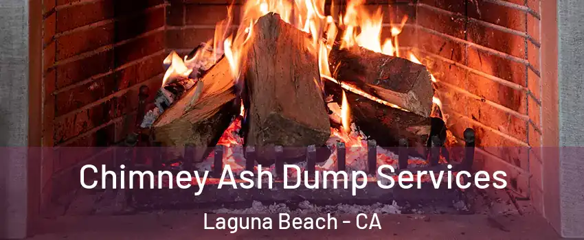  Chimney Ash Dump Services Laguna Beach - CA