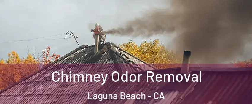  Chimney Odor Removal Laguna Beach - CA