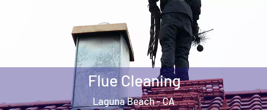  Flue Cleaning Laguna Beach - CA