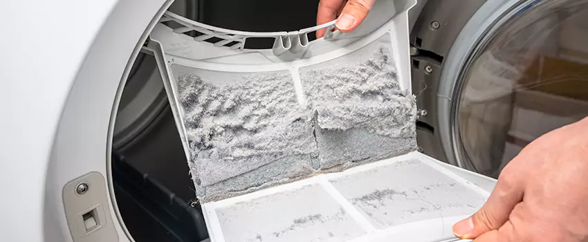 Best Dryer Lint Removal Company in Laguna Beach, California