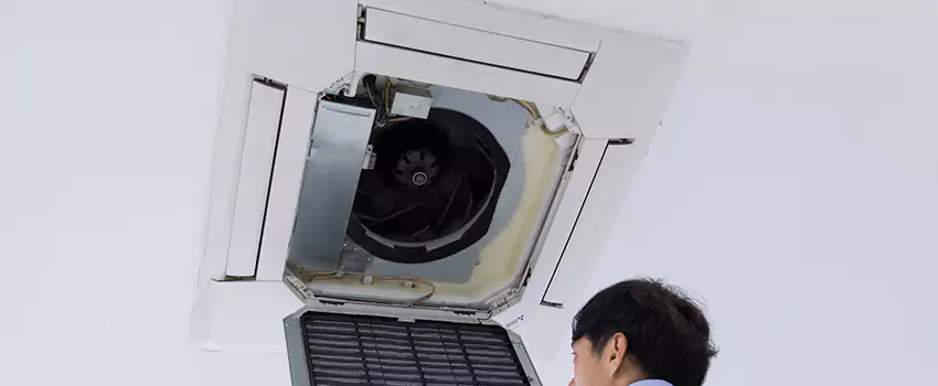 Benefits of Professional Air Duct Cleaning in Laguna Beach, California